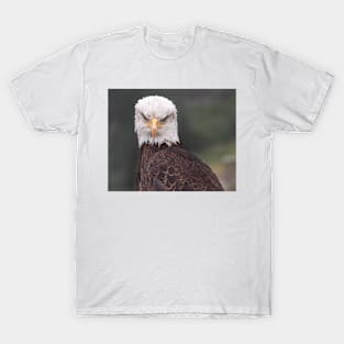 Bald Eagle T-Shirt